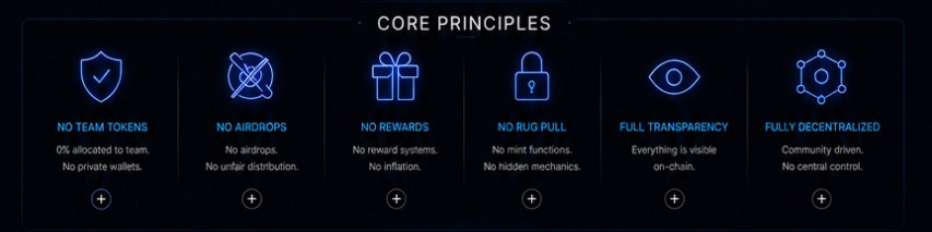 Core principle visual